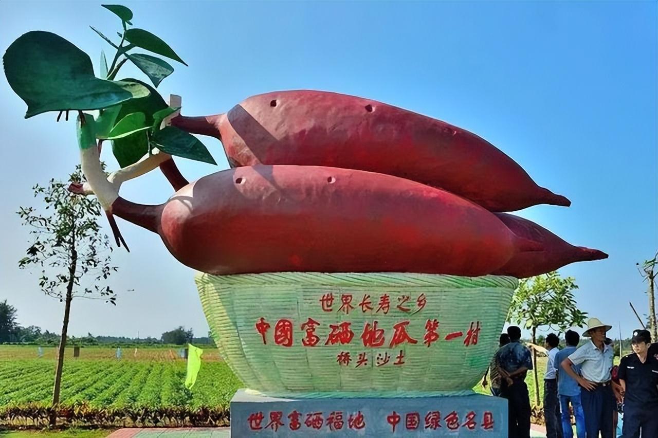 海南富硒地瓜地址(海南富硒地瓜是毒地瓜吗)-硒宝网