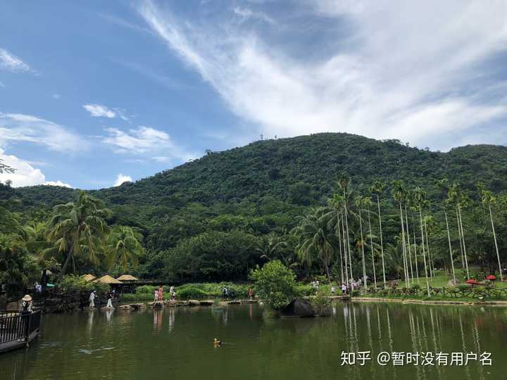 海南富硒姑娘地瓜（海南地瓜的功效与作用）-硒宝网