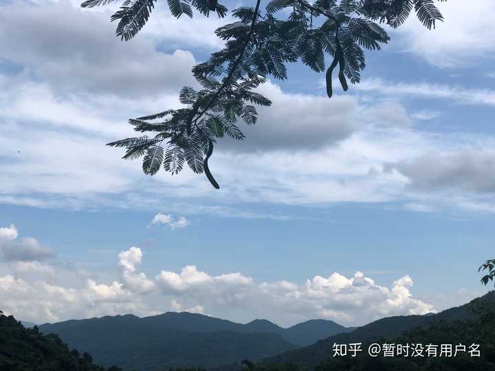 海南富硒姑娘地瓜（海南地瓜的功效与作用）-硒宝网