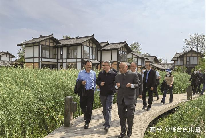 海南富硒地瓜介绍(海南的富硒地瓜)-硒宝网