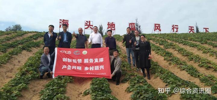 海南富硒地瓜介绍(海南的富硒地瓜)-硒宝网