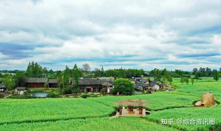 海南富硒地瓜介绍(海南的富硒地瓜)-硒宝网