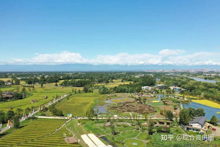 海南富硒地瓜介绍(海南的富硒地瓜)-硒宝网