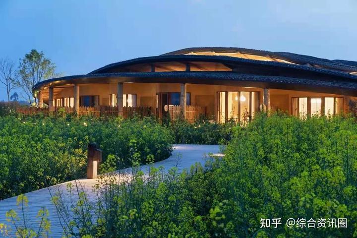 海南富硒地瓜介绍(海南的富硒地瓜)-硒宝网