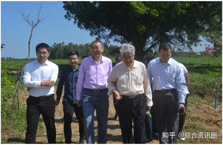 海南富硒地瓜介绍(海南的富硒地瓜)-硒宝网