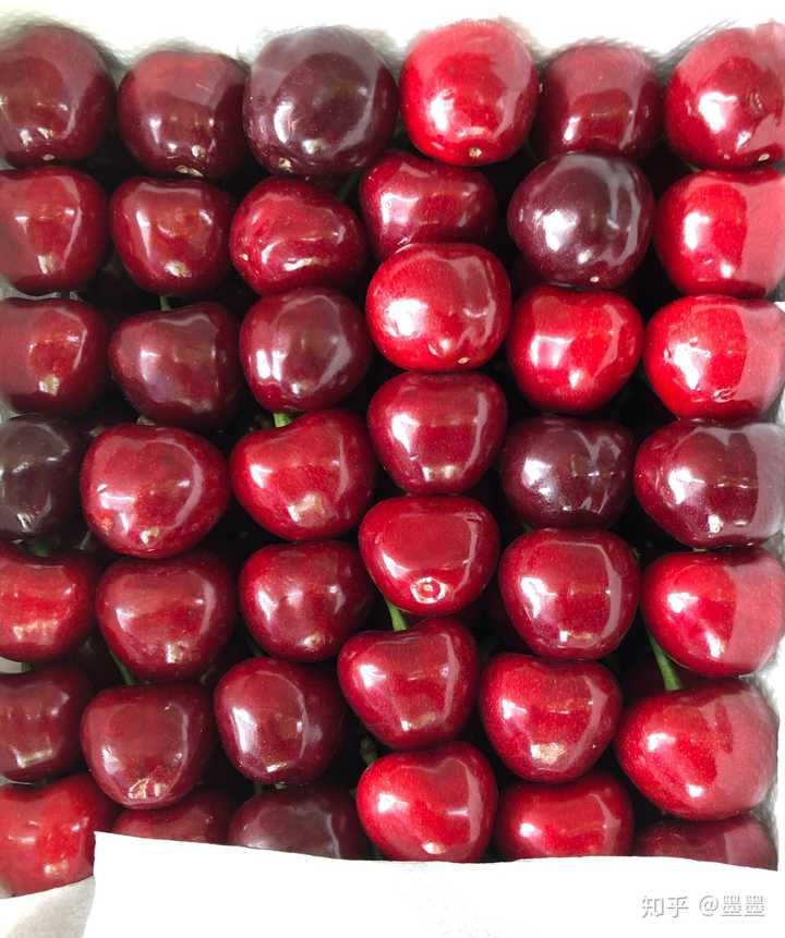 富硒地瓜大连产地(大连地瓜品种)-硒宝网