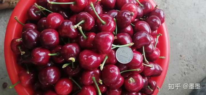 富硒地瓜大连产地(大连地瓜品种)-硒宝网