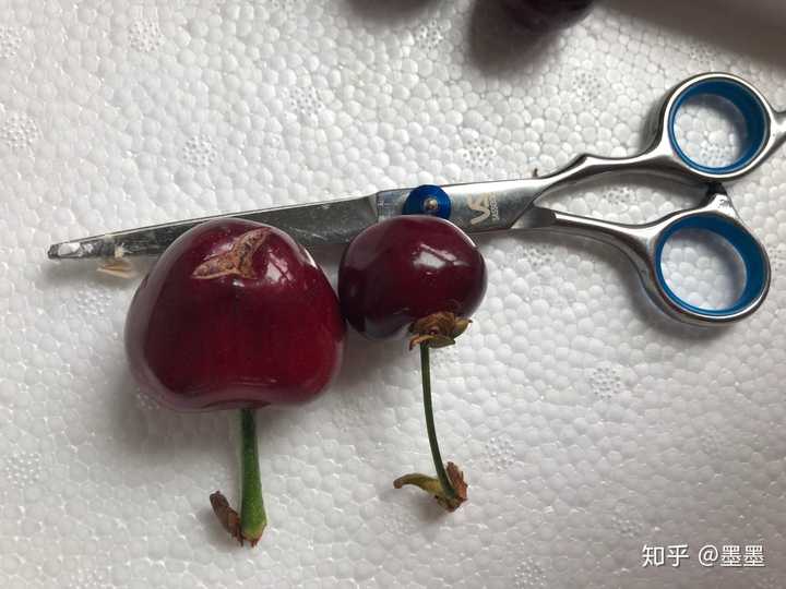 富硒地瓜大连产地(大连地瓜品种)-硒宝网