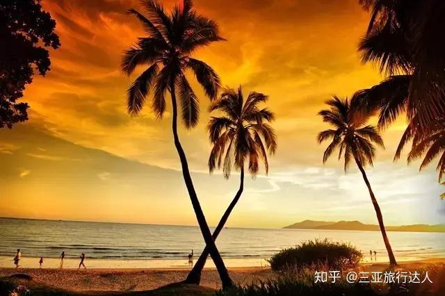 桥头富硒地瓜文化（桥头地瓜简介）-硒宝网