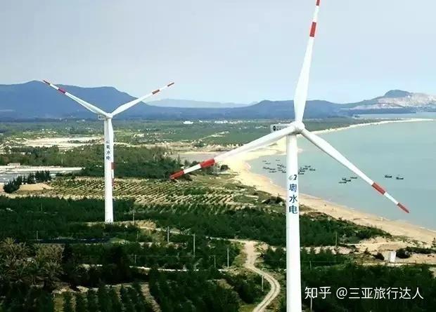 桥头富硒地瓜文化（桥头地瓜简介）-硒宝网