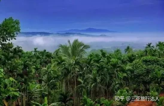 桥头富硒地瓜文化（桥头地瓜简介）-硒宝网