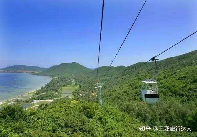 桥头富硒地瓜文化（桥头地瓜简介）-硒宝网