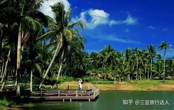 桥头富硒地瓜文化（桥头地瓜简介）-硒宝网