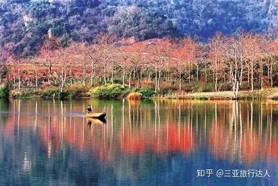 桥头富硒地瓜文化（桥头地瓜简介）-硒宝网