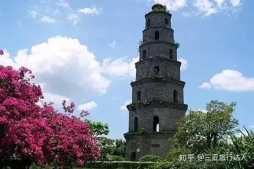 桥头富硒地瓜文化（桥头地瓜简介）-硒宝网