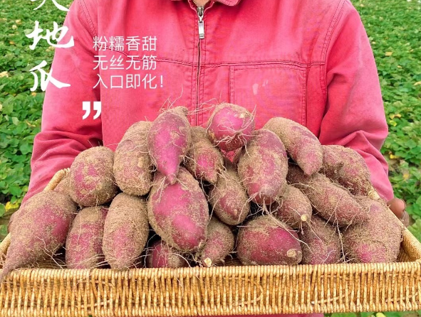 北京桥头富硒地瓜（桥头镇富硒地瓜）-硒宝网