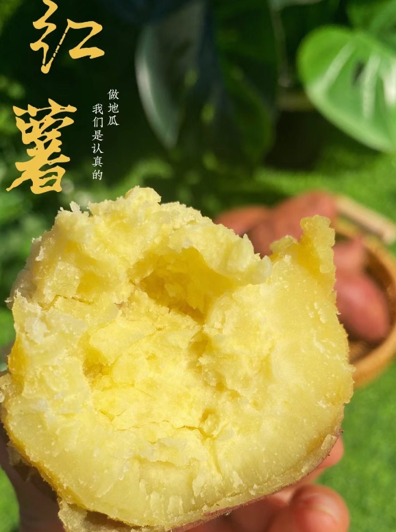 北京桥头富硒地瓜（桥头镇富硒地瓜）-硒宝网