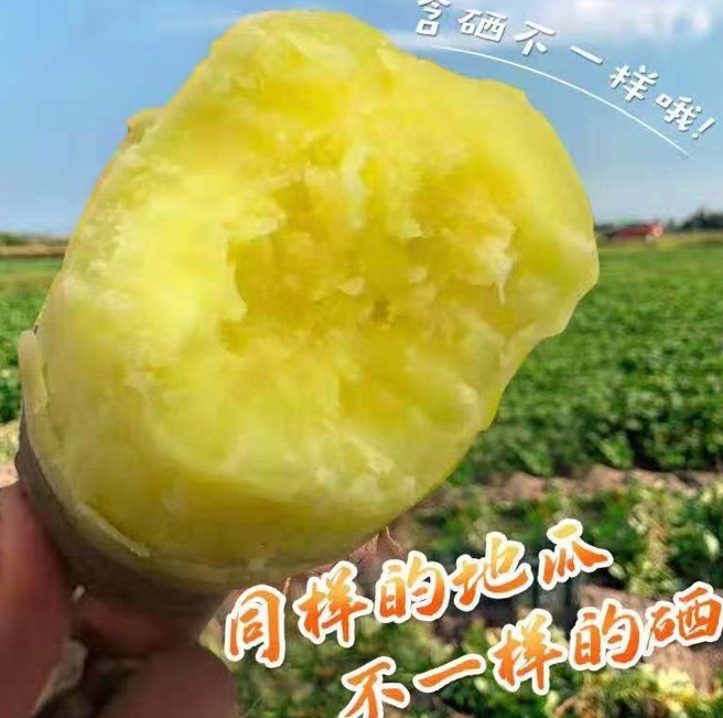 北京桥头富硒地瓜（桥头镇富硒地瓜）-硒宝网