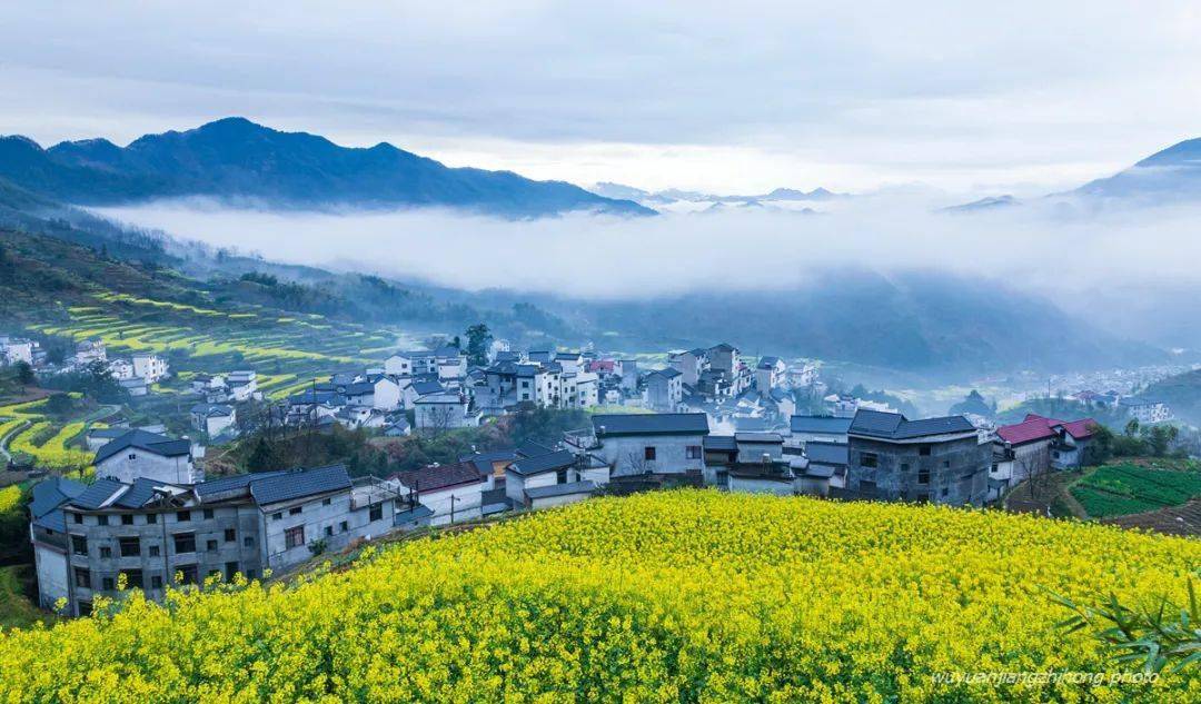 儋州富硒地瓜种植（海南富硒地瓜）-硒宝网