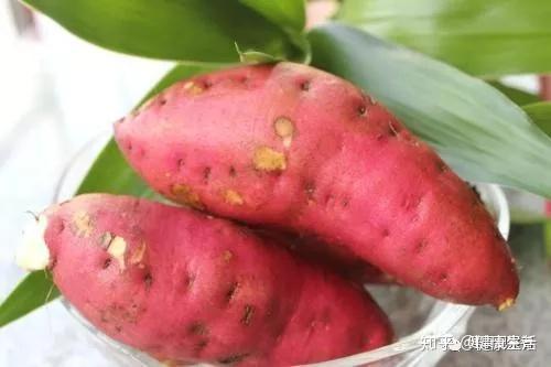 海南富硒地瓜介绍(海南地瓜的功效与作用)-硒宝网