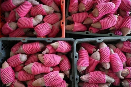 澄迈富硒地瓜销售(澄迈桥头富硒地瓜好处)-硒宝网