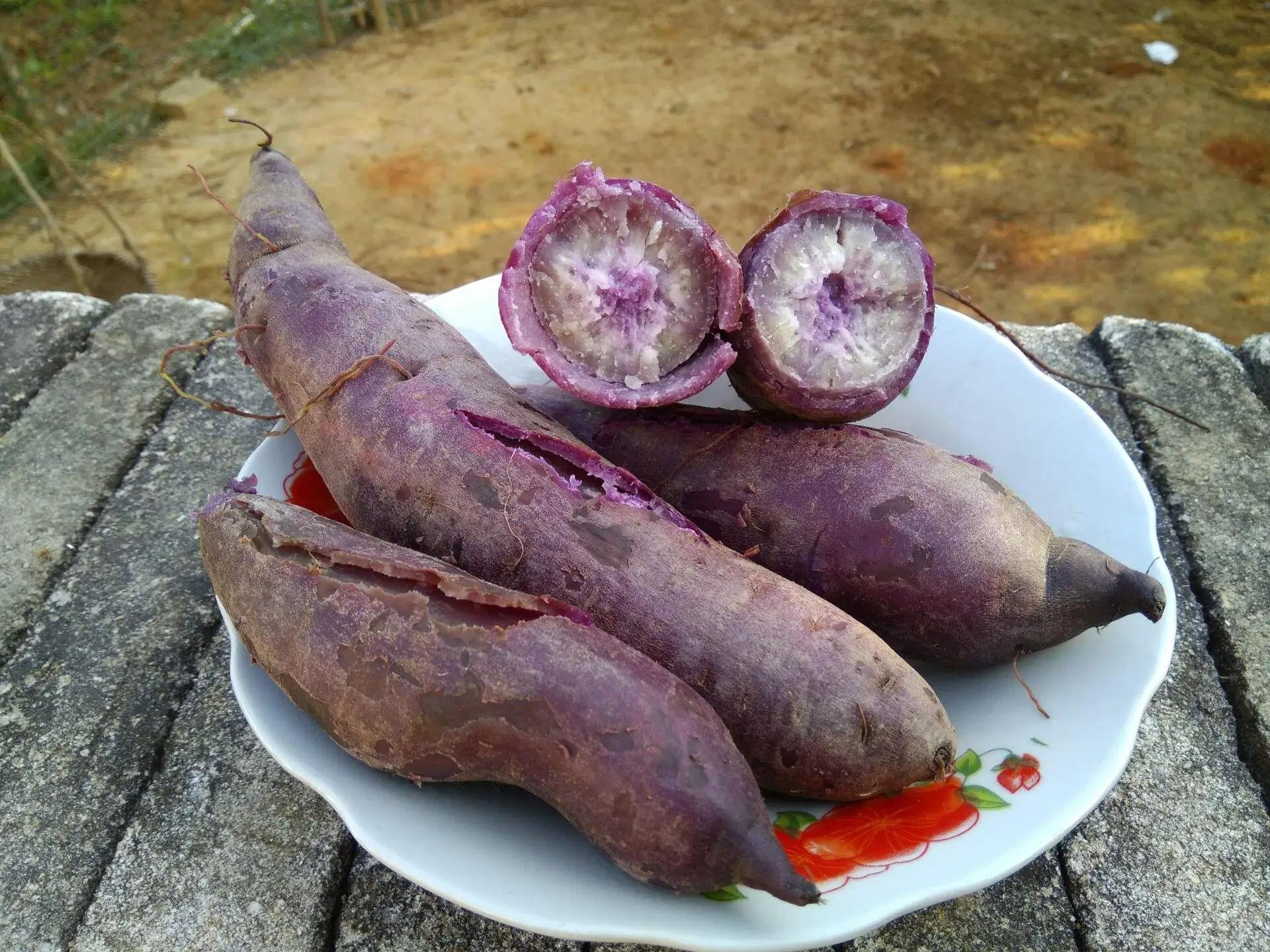 富硒地瓜什么颜色(地瓜富硒标准)-硒宝网