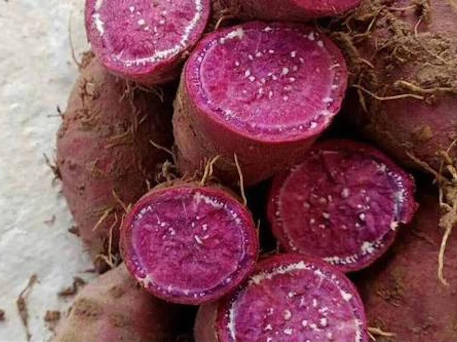 富硒地瓜什么颜色(地瓜富硒标准)-硒宝网