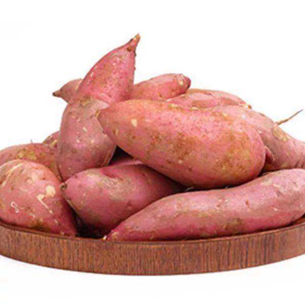 富硒地瓜 转基因(地瓜有转基因的吃了有危害吗)-硒宝网