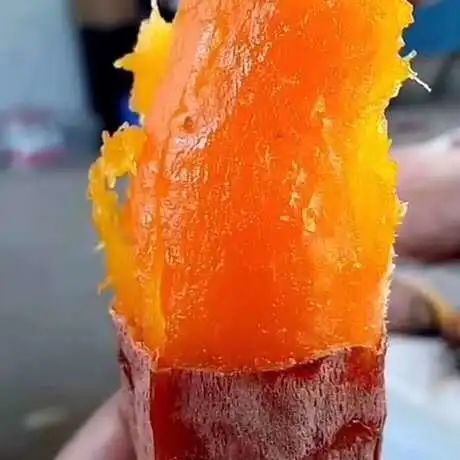 富硒地瓜怎样栽培（富硒地瓜种植技术视频教程）-硒宝网