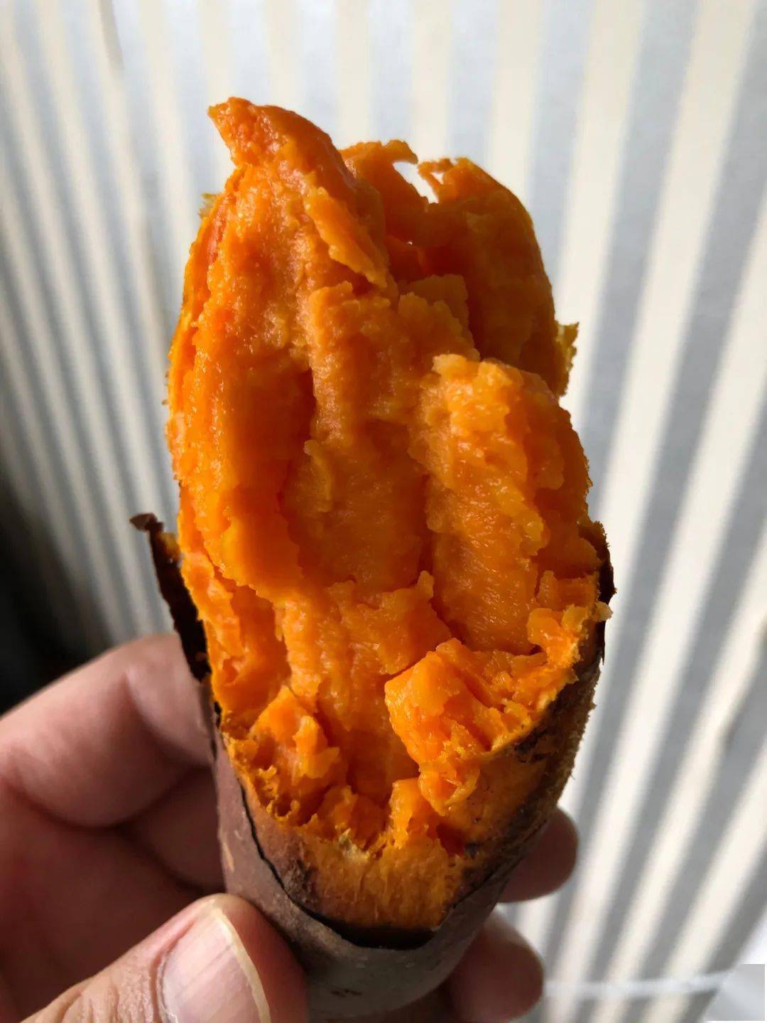 富硒地瓜怎样栽培（富硒地瓜种植技术视频教程）-硒宝网