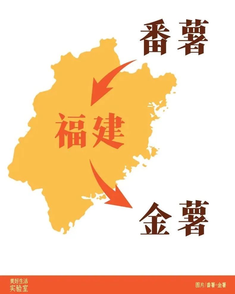 富硒地瓜做地瓜干(地瓜干富硒做法大全)-硒宝网