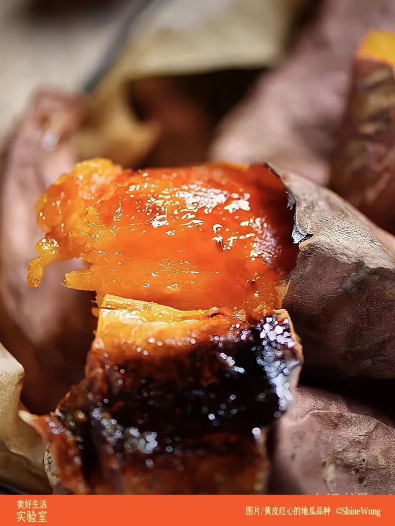 富硒地瓜做地瓜干(地瓜干富硒做法大全)-硒宝网