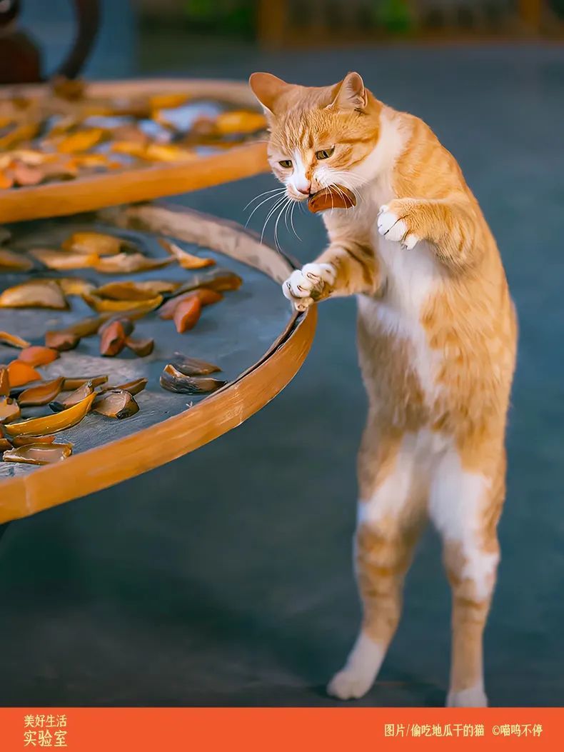 富硒地瓜做地瓜干(地瓜干富硒做法大全)-硒宝网