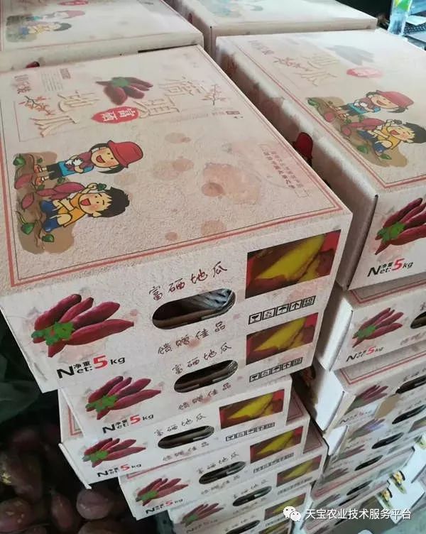 网购桥头富硒地瓜（桥头地瓜口感）-硒宝网