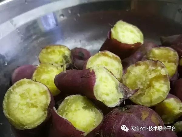 网购桥头富硒地瓜（桥头地瓜口感）-硒宝网