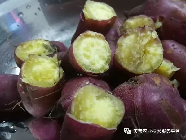 网购桥头富硒地瓜（桥头地瓜口感）-硒宝网