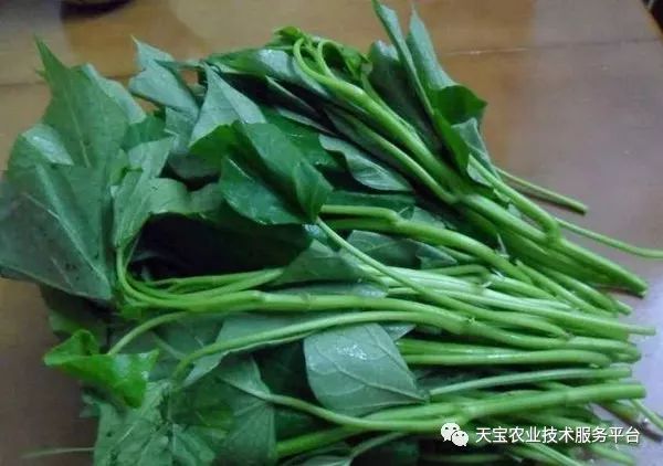 网购桥头富硒地瓜（桥头地瓜口感）-硒宝网