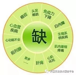 网购桥头富硒地瓜（桥头地瓜口感）-硒宝网