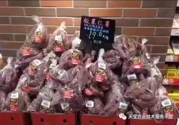 网购桥头富硒地瓜（桥头地瓜口感）-硒宝网