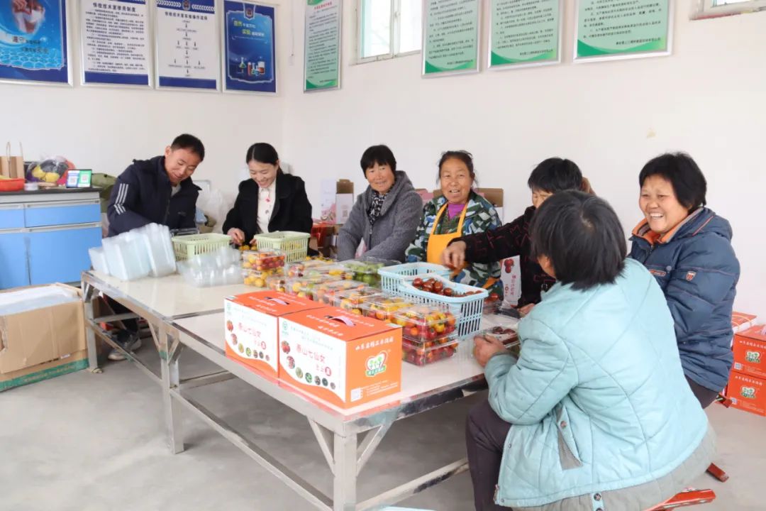 泰安富硒地瓜基地(泰安哪里产地瓜)-硒宝网