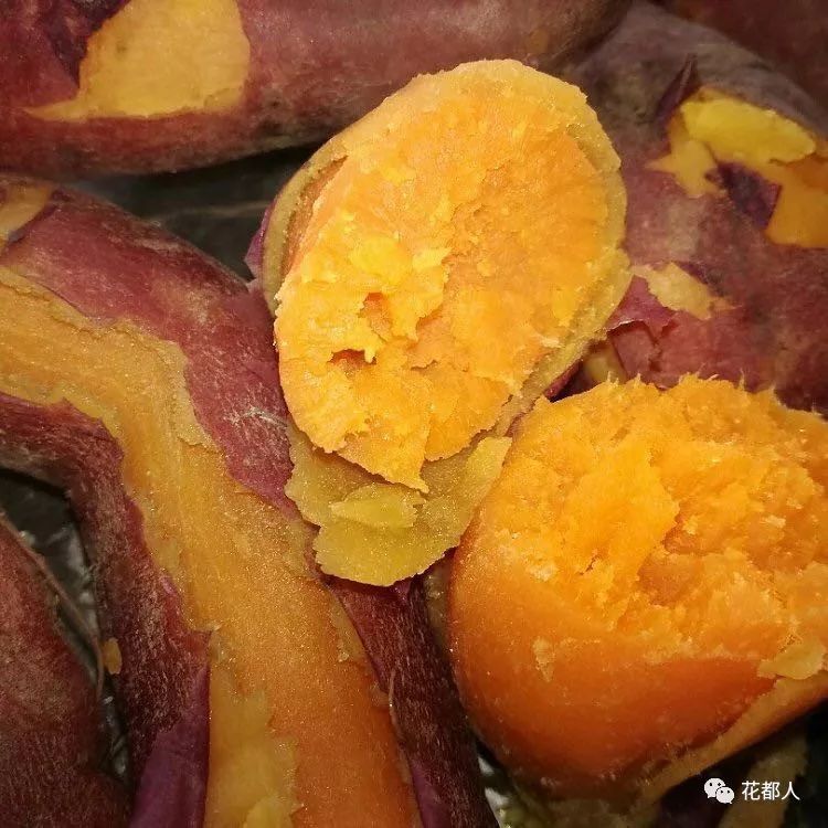 富硒地瓜山东有吗（富硒地瓜是什么品种）-硒宝网