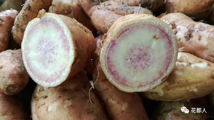 富硒地瓜山东有吗（富硒地瓜是什么品种）-硒宝网