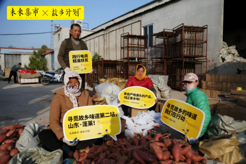 山东烟台富硒地瓜（山东富硒地瓜哪里产）-硒宝网