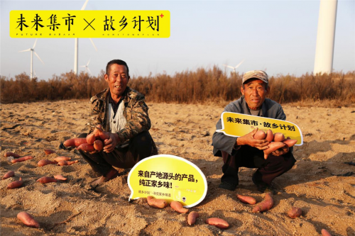 山东烟台富硒地瓜（山东富硒地瓜哪里产）-硒宝网