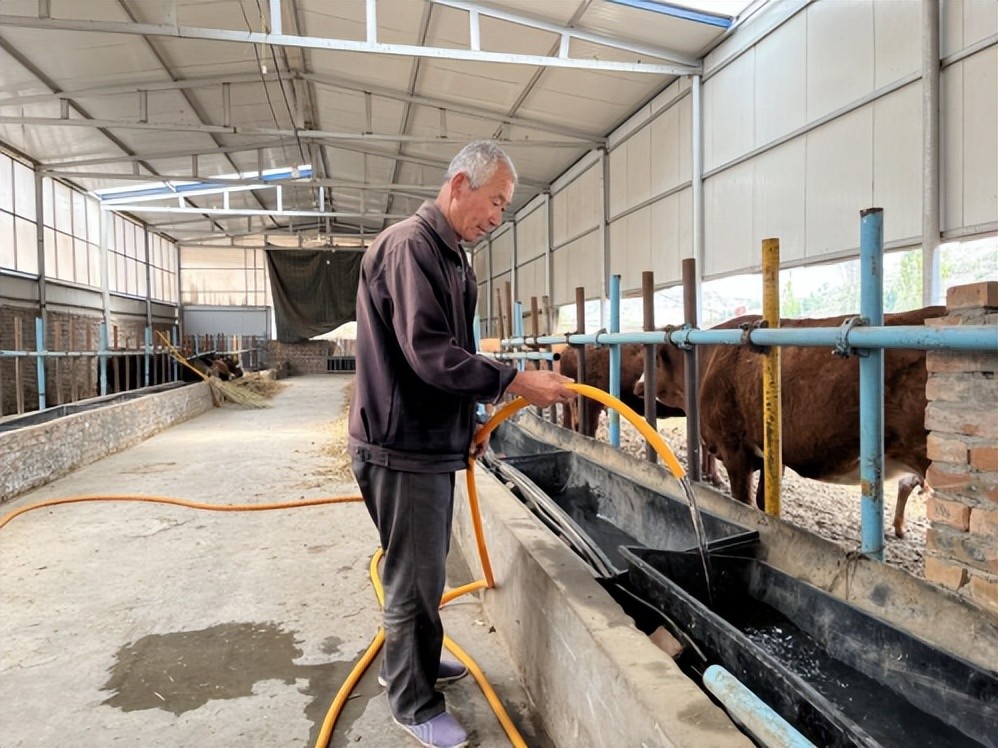 富硒肥料种的地瓜（地瓜种富硒肥料有哪些）-硒宝网