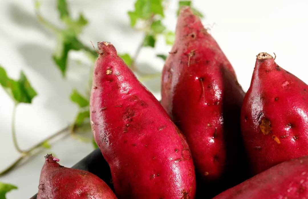 焦点访谈富硒地瓜(富硒地瓜口感怎样)-硒宝网