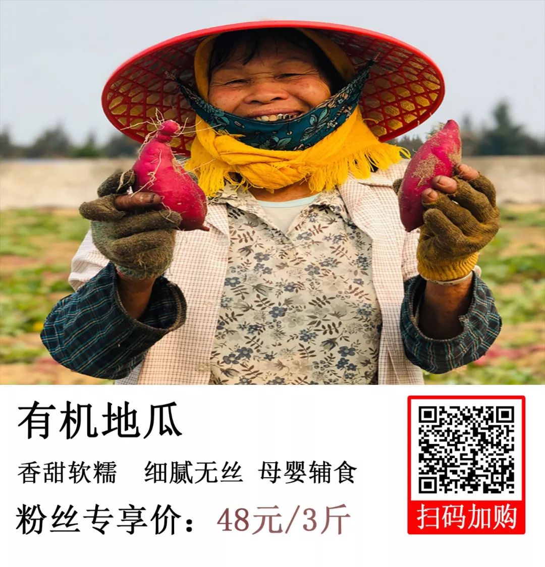 焦点访谈富硒地瓜(富硒地瓜口感怎样)-硒宝网