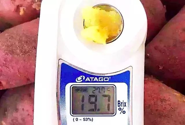 焦点访谈富硒地瓜(富硒地瓜口感怎样)-硒宝网