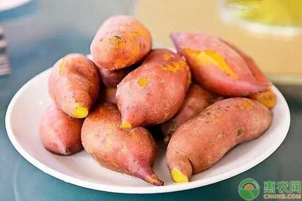 富硒肥料种的地瓜(富硒地瓜种植技术视频教程)-硒宝网