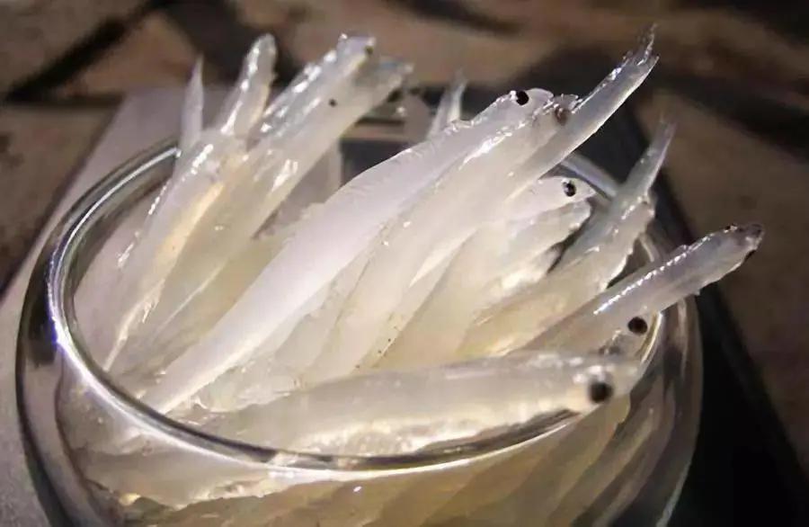 富硒地瓜含糖高吗(糖地瓜含富硒高钙吗)-硒宝网